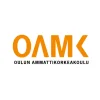 Turun ammattikorkeakoulu Oy logo